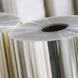 Rolls of Polyester Film and Sheets